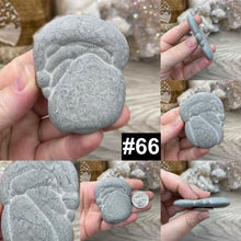 将图像加载到图库查看器中，Calcite Concretion Medium Fairy Stones
