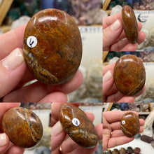 Load image into Gallery viewer, Cherry Creek Jasper Pillow Palm Stones
