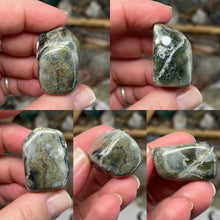 将图像加载到图库查看器中，Ocean Jasper Medium Rough Tumbles
