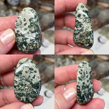 将图像加载到图库查看器中，Ocean Jasper Medium Rough Tumbles
