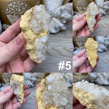 Chargez l&#39;image dans la visionneuse de la galerie, Calcite Geodes from Khokat Mine ~ Midelt, Morocco

