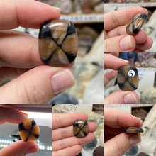 将图像加载到图库查看器中，Andalusite / Chiastolite Large Cabochons
