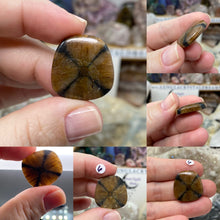 Chargez l&#39;image dans la visionneuse de la galerie, Andalusite / Chiastolite Large Cabochons
