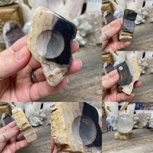 Load image into Gallery viewer, Petrified Wood Stand #14
