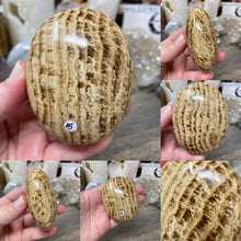 Load image into Gallery viewer, Brown Aragonite Pillow Palm Stone #15
