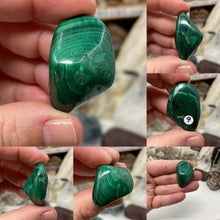 将图像加载到图库查看器中，Malachite Small Tumbles
