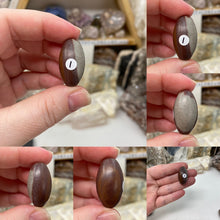 Load image into Gallery viewer, Shiva Lingam Stones 1&quot;
