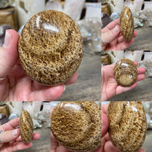 Load image into Gallery viewer, Brown Aragonite Pillow Palm Stone #05
