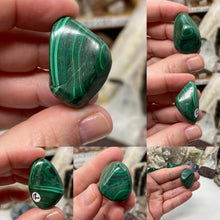 将图像加载到图库查看器中，Malachite Small Tumbles
