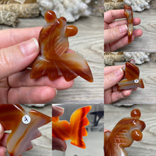 将图像加载到图库查看器中，Carnelian Agate Fish
