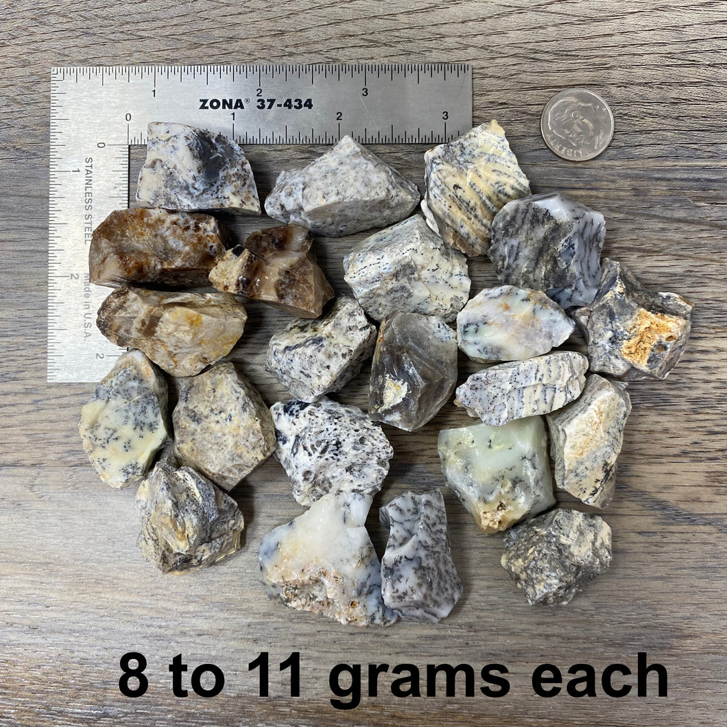 Dendritic Light and Dark Opal Rough