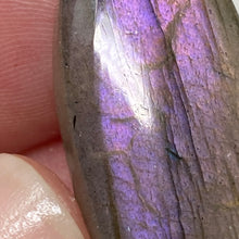 将图像加载到图库查看器中，Purple Labradorite Cabochon #31 * High Quality
