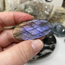 将图像加载到图库查看器中，Purple Labradorite Cabochon #46 * High Quality
