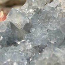 Cargar imagen en el visor de la galería, Celestite Rough Cluster #64
