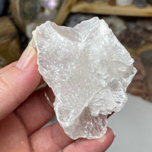 将图像加载到图库查看器中，Selenite Rough Set #11
