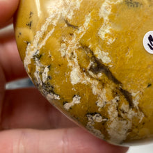 Load image into Gallery viewer, Dendritic Opal Palm Stone #12
