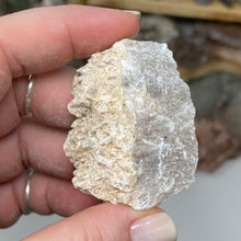 Load image into Gallery viewer, Selenite Rough Set #16
