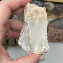 Load image into Gallery viewer, Selenite Rough Set #16
