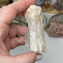 Load image into Gallery viewer, Selenite Rough Set #16
