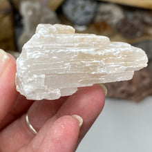 将图像加载到图库查看器中，Selenite Rough Set #18
