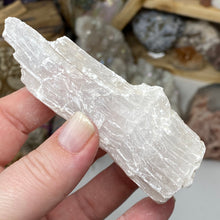 将图像加载到图库查看器中，Selenite Rough Set #18
