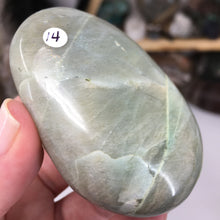 将图像加载到图库查看器中，Garnierite Palm Stone #14
