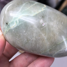 将图像加载到图库查看器中，Garnierite Palm Stone #14
