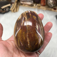 Chargez l&#39;image dans la visionneuse de la galerie, Petrified Wood Extra Large Egg #01
