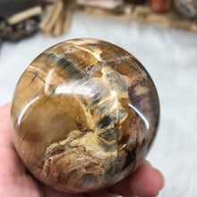 Load image into Gallery viewer, Petrified Wood Extra Large Egg #01
