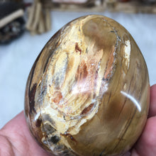 Chargez l&#39;image dans la visionneuse de la galerie, Petrified Wood Extra Large Egg #01

