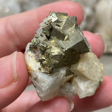 Carica l&#39;immagine nel visualizzatore di Gallery, Cubic Pyrite on Calcite #01
