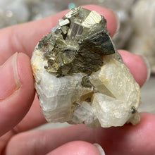 Bild in Galerie-Viewer laden, Cubic Pyrite on Calcite #01
