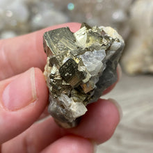 Bild in Galerie-Viewer laden, Cubic Pyrite on Calcite #01
