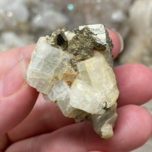 Bild in Galerie-Viewer laden, Cubic Pyrite on Calcite #01
