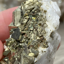 Cargar imagen en el visor de la galería, Cubic Pyrite on Calcite #02
