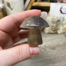 将图像加载到图库查看器中，Fluorite Mushroom #01
