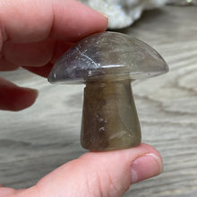 将图像加载到图库查看器中，Fluorite Mushroom #01
