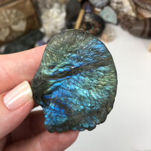 将图像加载到图库查看器中，Labradorite Eagle Head #02
