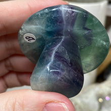 Load image into Gallery viewer, Fluorite Mushroom #20
