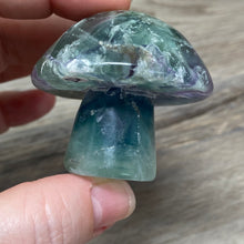 将图像加载到图库查看器中，Fluorite Mushroom #26
