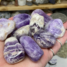 将图像加载到图库查看器中，Chevron Amethyst Large Tumbles
