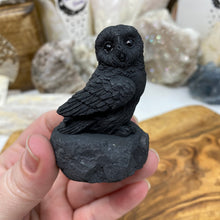 Load image into Gallery viewer, Shungite 2.5&quot; Owls
