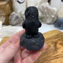 将图像加载到图库查看器中，Shungite 2.5&quot; Owls
