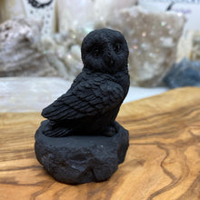 将图像加载到图库查看器中，Shungite 2.5&quot; Owls
