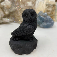 将图像加载到图库查看器中，Shungite 2.5&quot; Owls
