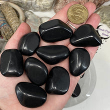 将图像加载到图库查看器中，Shungite Large Tumbles
