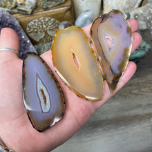 将图像加载到图库查看器中，Natural Small Agate Slices
