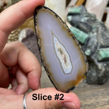 将图像加载到图库查看器中，Natural Small Agate Slices
