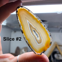 将图像加载到图库查看器中，Natural Small Agate Slices
