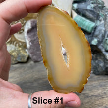 将图像加载到图库查看器中，Natural Small Agate Slices
